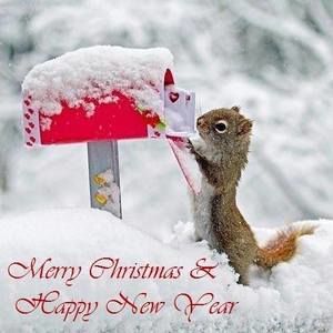 Meet your Posher, Shanah